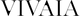 vivaiahub.it.com